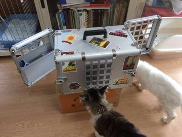 Household Extruded Aluminum Profiles Dog Cage For Car / Pet Grooming Cage Carrying Case